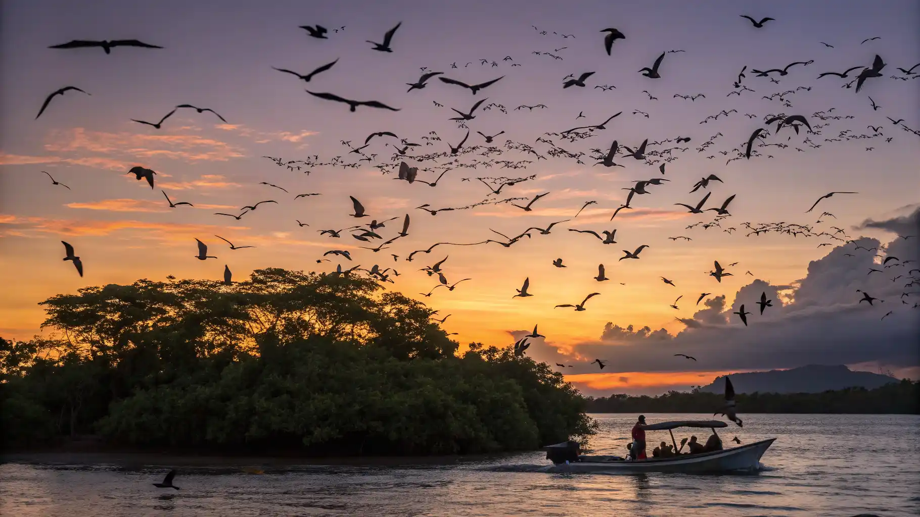 Kalong Island Flying Foxes - Komodo Yacht Charter