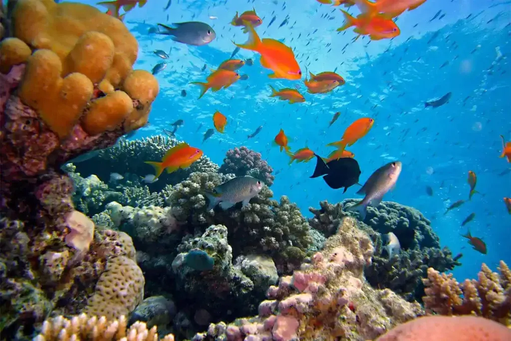 Exploring Komodo National Park by Yacht: A Luxurious Adventure