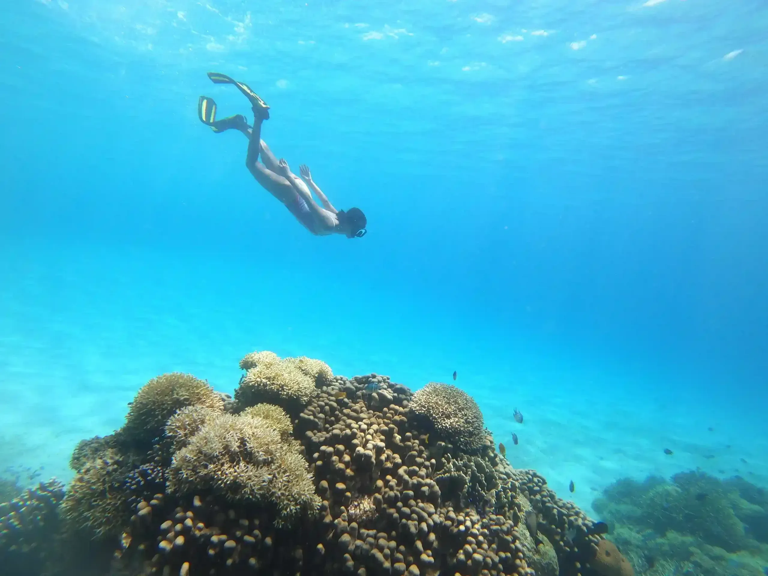 Best Luxury Yacht Charter Activities in Komodo