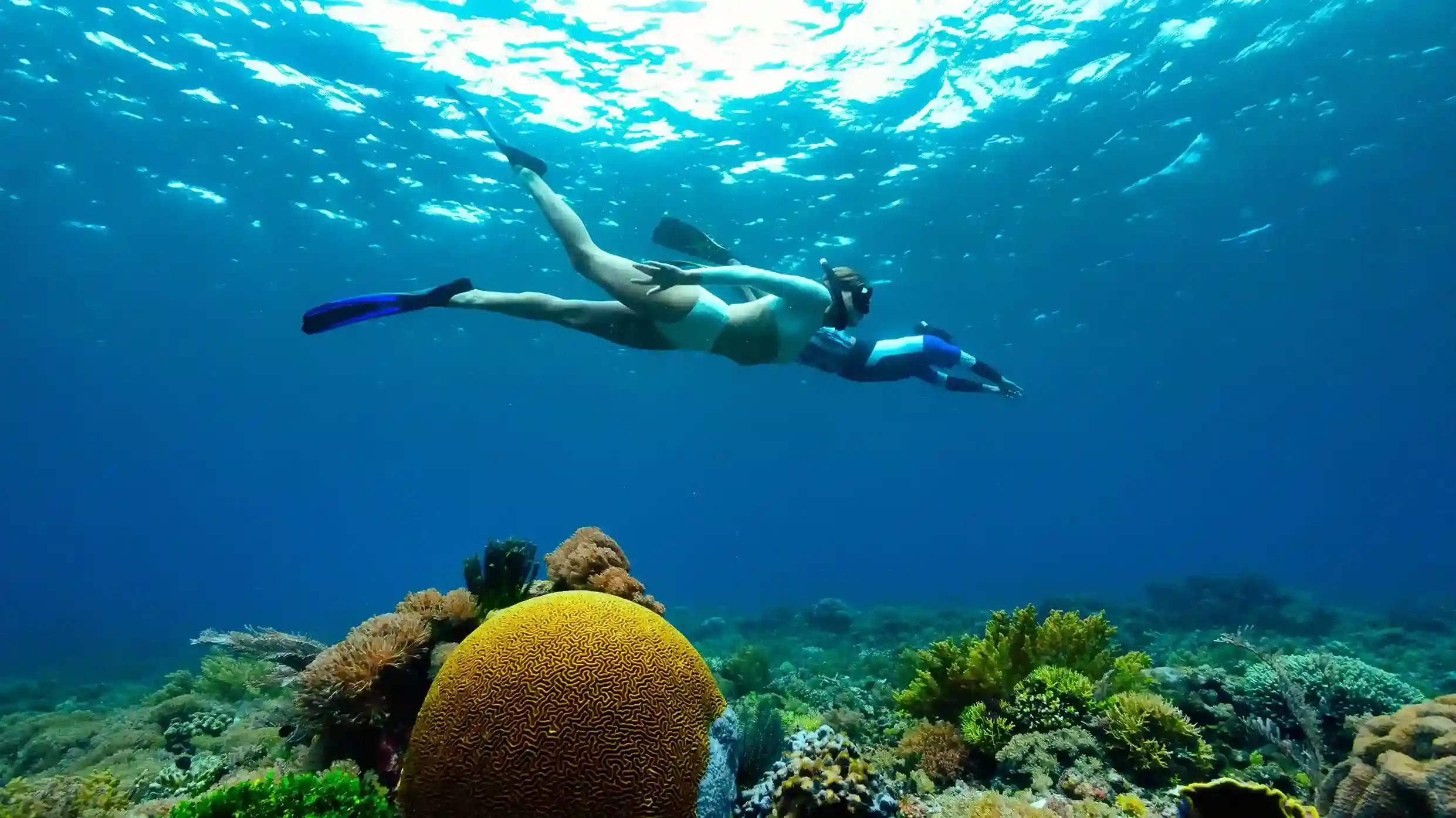 Ultimate Packing List for Komodo Island 2027: What to Wear, Carry, and Leave Behind