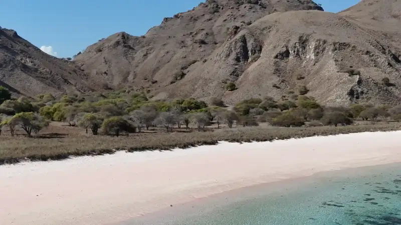 Pink sand and turquoise shallows