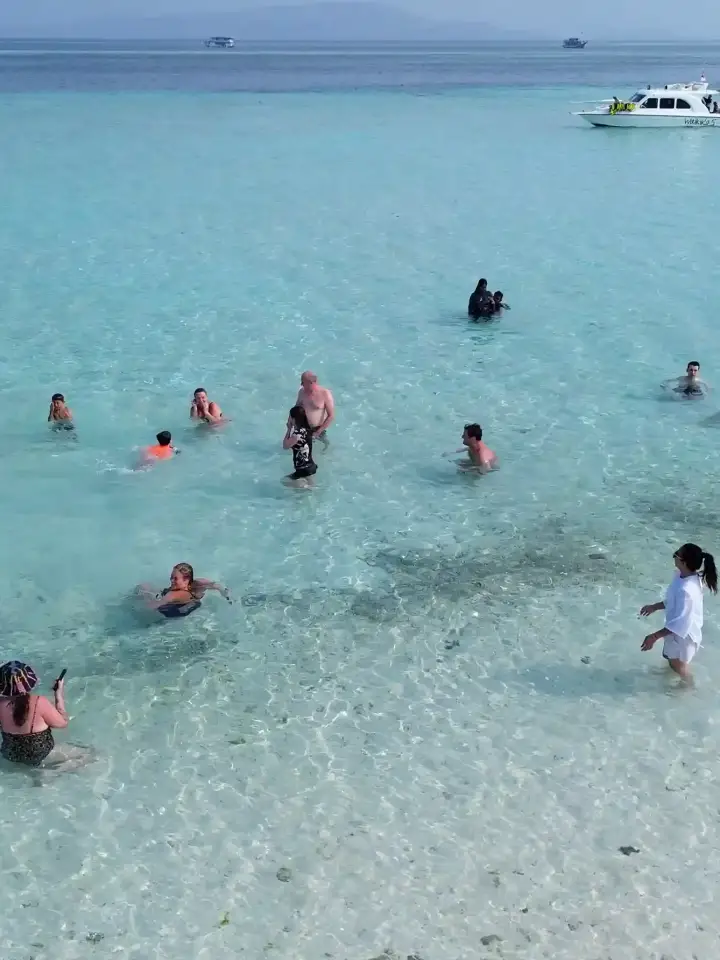 Guests in the shallows off the Taka Makassar sandbar